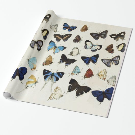 FARBIGE BUTTERFLIES Schönheit Natur Lover Geschenkpapier (Ungerollt)
