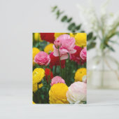 Farbige Carnation-Blume Postkarte (Stehend Vorderseite)