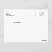 Farbige Carnation-Blume Postkarte (Rückseite)