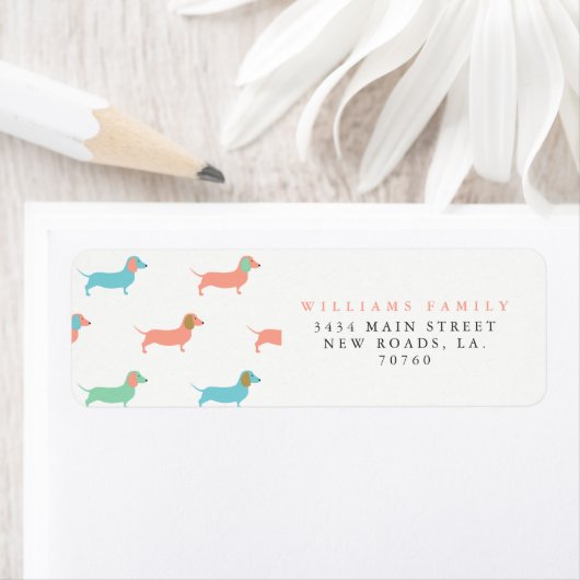 Farbige Dackel (Insitu)