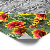 Farbige Daisy-Blume gestalten Ihr eigenes Foto Poster (Ecke)