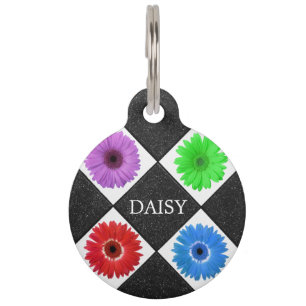 Farbige Daisy Pet ID Tag Haustiermarke