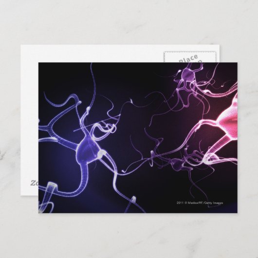 Farbige Darstellung von Neuronen Postkarte (Vorne/Hinten)