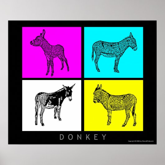 Farbige Donkeys Poster (Vorne)
