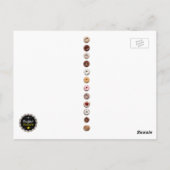Farbige Donuts Postkarte (Rückseite)
