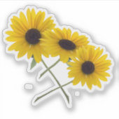 Farbige Dreifach-Sonnenblumen-Fotografie Aufkleber (Vorderseite)