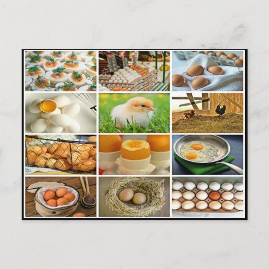 Farbige Eierhühnerkollage Postkarte (Vorderseite)