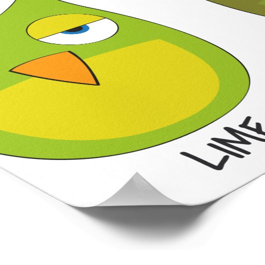 Farbige Eulen Poster (Ecke)