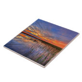 Farbige Everglades, Florida, Fliese (Seite)