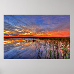 Farbige Everglades, Florida, Poster