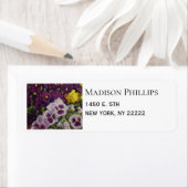 Farbige Extravagant Pants Stiefmütterchen Rücksend (Insitu)