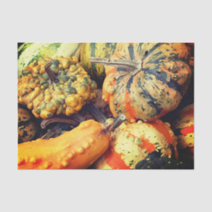 Farbige Extravagante Gourds Nah Up Decoupage Seidenpapier