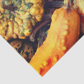 Farbige Extravagante Gourds Nah Up Decoupage Seidenpapier (Ausschnitt)