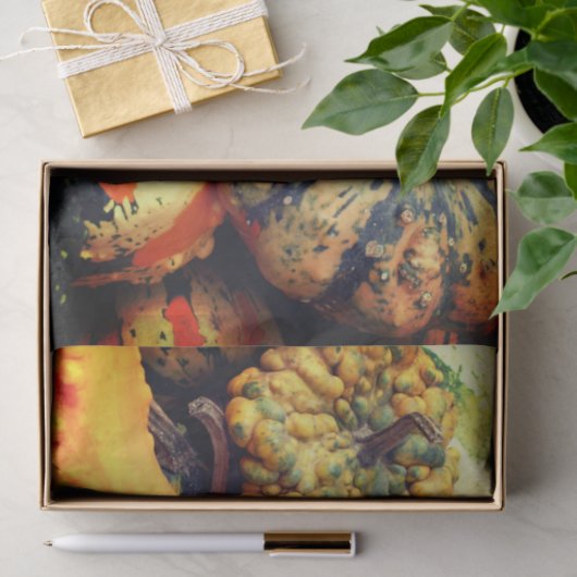 Farbige Extravagante Gourds Nah Up Decoupage Seidenpapier (Geschenk)