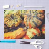 Farbige Extravagante Gourds Nah Up Decoupage Seidenpapier (Handwerk)