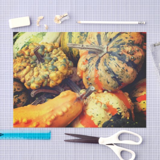 Farbige Extravagante Gourds Nah Up Decoupage Seidenpapier (Handwerk)