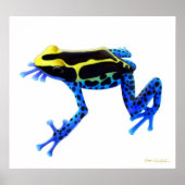 Farbige Färbung Gift Frosch drucken Poster (Vorne)