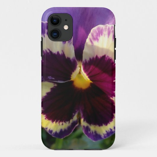 farbige Feder Pansy Case-Mate iPhone Hülle (Rückseite)