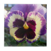 farbige Feder Pansy Fliese (Vorderseite)