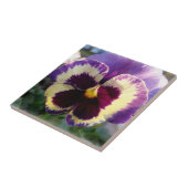 farbige Feder Pansy Fliese (Seite)
