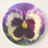 farbige Feder Pansy Getränkeuntersetzer (Vorne)