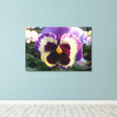 farbige Feder Pansy Leinwanddruck (Insitu (Holzboden))