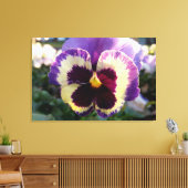 farbige Feder Pansy Leinwanddruck (Insitu (Wohnzimmer))