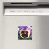 farbige Feder Pansy Magnet (In Situ (Geschirrspüler))