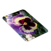 farbige Feder Pansy Magnet (Rechte Seite)