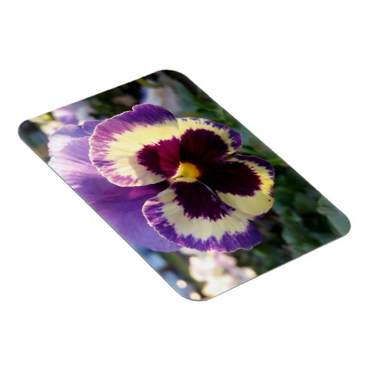 farbige Feder Pansy Magnet (Rechte Seite)
