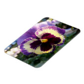 farbige Feder Pansy Magnet (Linke Seite)