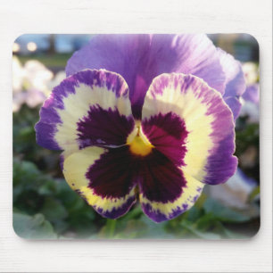farbige Feder Pansy Mousepad