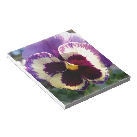 farbige Feder Pansy Notizblock (angewinkelt)