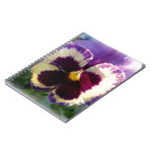farbige Feder Pansy Notizblock (Linke Seite)