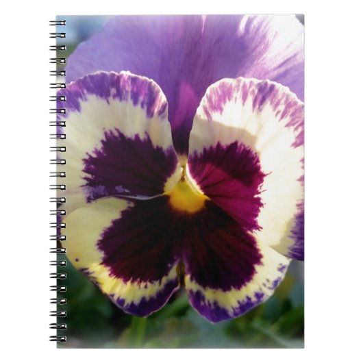 farbige Feder Pansy Notizblock (Vorderseite)