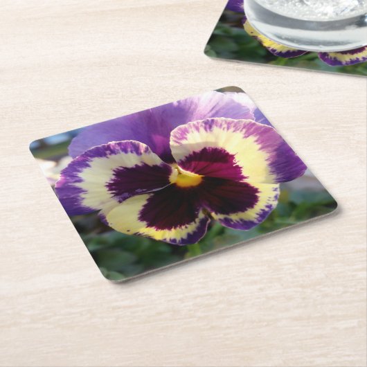 farbige Feder Pansy Rechteckiger Pappuntersetzer (angewinkelt)