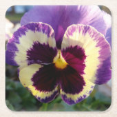 farbige Feder Pansy Rechteckiger Pappuntersetzer (Vorderseite)