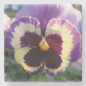 farbige Feder Pansy Steinuntersetzer (Vorderseite)