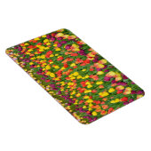 Farbige Federtulpen Druckmagnet Magnet (Rechte Seite)