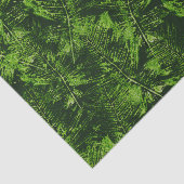 Farbige Ferns Seidenpapier (Ausschnitt)