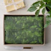 Farbige Ferns Seidenpapier (Geschenk)