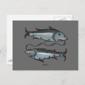 Farbige Fieber Postkarte (Vorne/Hinten)