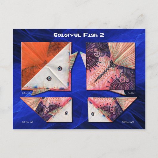 Farbige Fische 2 Postkarte (Vorderseite)
