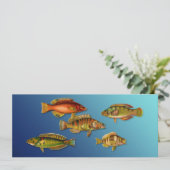 Farbige Fische Einladung (Stehend Vorderseite)