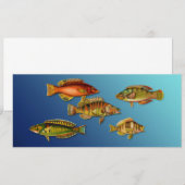 Farbige Fische Einladung (Vorne/Hinten)
