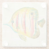 Farbige Fische Glasuntersetzer (Rückseite)