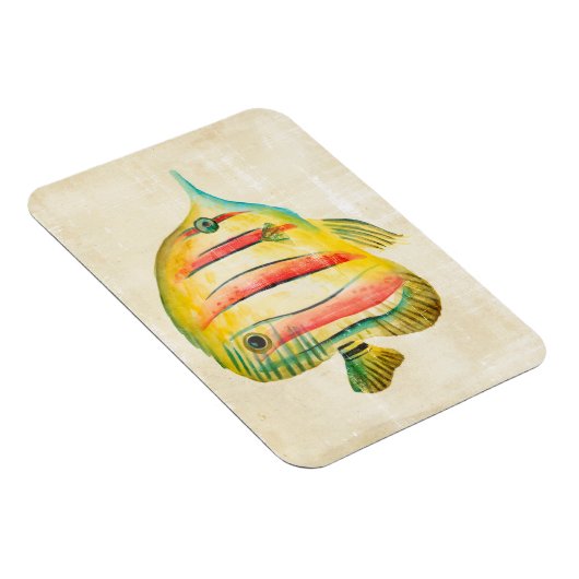 Farbige Fische Magnet (Rechte Seite)