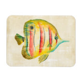 Farbige Fische Magnet (Horizontal)