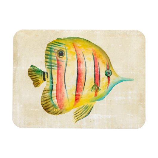 Farbige Fische Magnet (Horizontal)