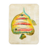 Farbige Fische Magnet (Vertikal)
